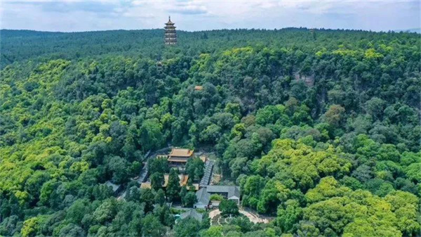 康養(yǎng)+旅游，冬游楚雄就選這條自駕線路