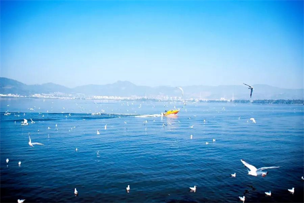 想偷半日浮生閑？來昆明看天、看湖、看雪景|春城冬韻·美景