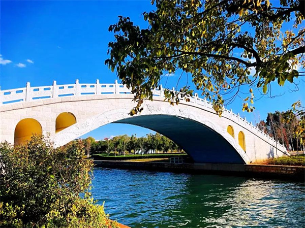 是時候去濕地公園轉轉了，水杉、白鷺、紅嘴鷗……多彩生物已上線！